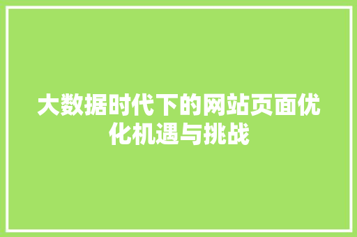 大数据时代下的网站页面优化机遇与挑战  第1张
