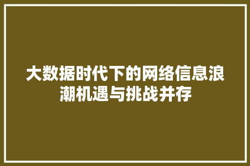 大数据时代下的网络信息浪潮机遇与挑战并存  第1张