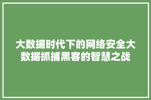 大数据时代下的网络安全大数据抓捕黑客的智慧之战