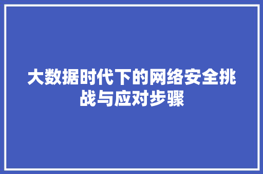 大数据时代下的网络安全挑战与应对步骤  第1张