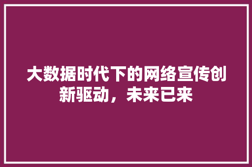 大数据时代下的网络宣传创新驱动，未来已来