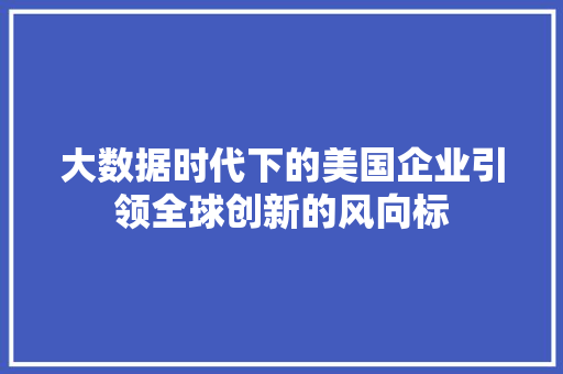 大数据时代下的美国企业引领全球创新的风向标  第1张