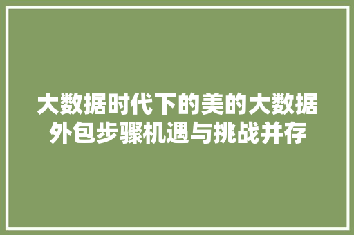 大数据时代下的美的大数据外包步骤机遇与挑战并存  第1张