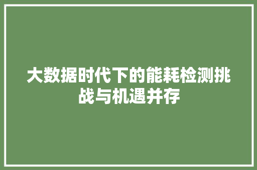 大数据时代下的能耗检测挑战与机遇并存  第1张