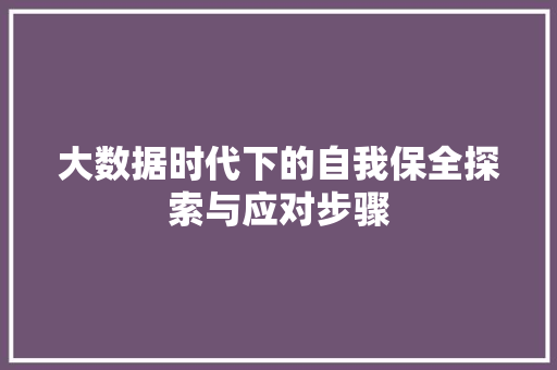 大数据时代下的自我保全探索与应对步骤  第1张