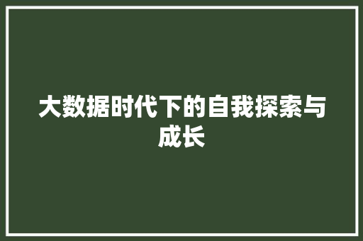 大数据时代下的自我探索与成长  第1张