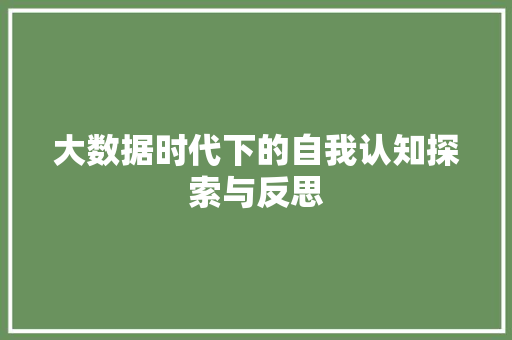 大数据时代下的自我认知探索与反思  第1张