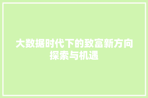 大数据时代下的致富新方向探索与机遇  第1张