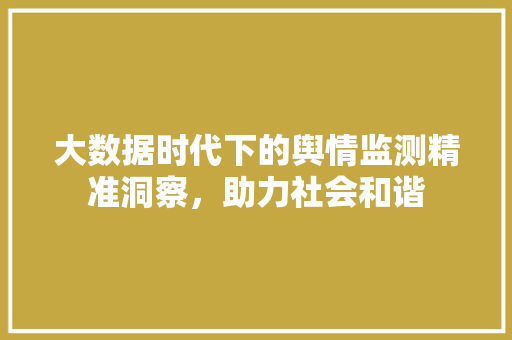 大数据时代下的舆情监测精准洞察，助力社会和谐  第1张