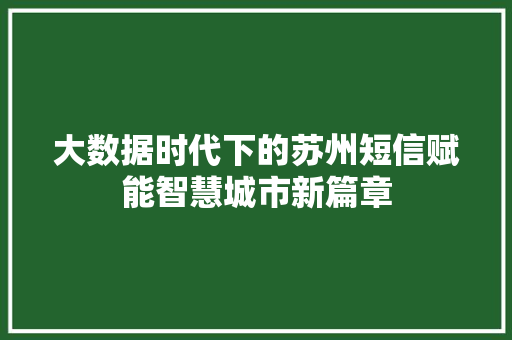 大数据时代下的苏州短信赋能智慧城市新篇章  第1张