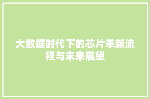 大数据时代下的芯片革新流程与未来展望  第1张