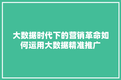 大数据时代下的营销革命如何运用大数据精准推广  第1张