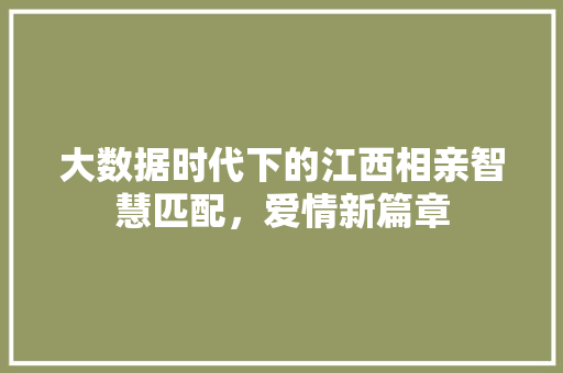 大数据时代下的江西相亲智慧匹配，爱情新篇章  第1张