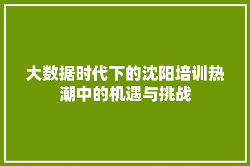 大数据时代下的沈阳培训热潮中的机遇与挑战  第1张