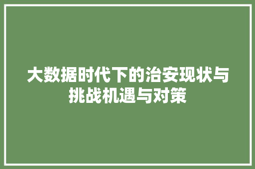 大数据时代下的治安现状与挑战机遇与对策