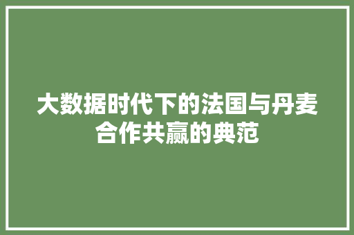 大数据时代下的法国与丹麦合作共赢的典范