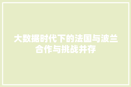 大数据时代下的法国与波兰合作与挑战并存