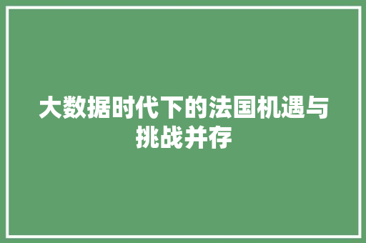 大数据时代下的法国机遇与挑战并存
