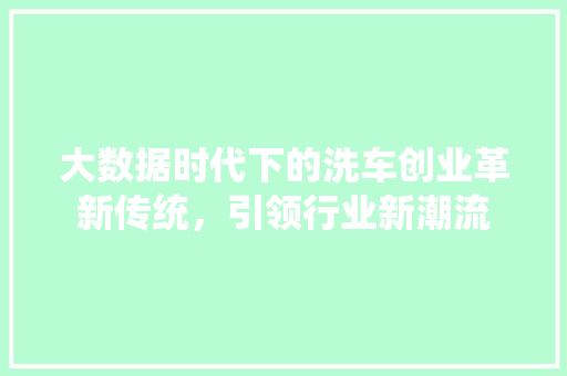 大数据时代下的洗车创业革新传统，引领行业新潮流