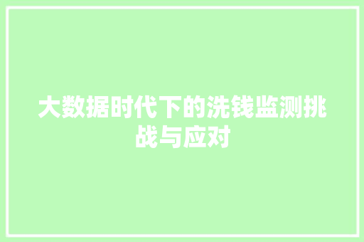 大数据时代下的洗钱监测挑战与应对