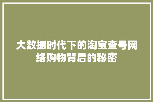 大数据时代下的淘宝查号网络购物背后的秘密