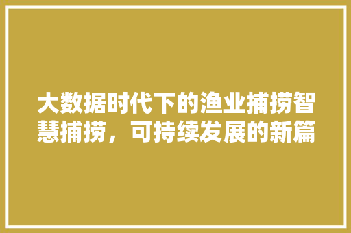 大数据时代下的渔业捕捞智慧捕捞，可持续发展的新篇章