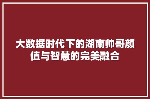 大数据时代下的湖南帅哥颜值与智慧的完美融合