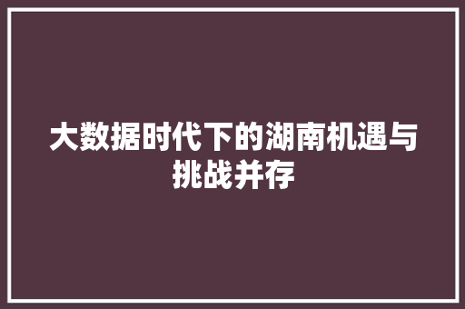 大数据时代下的湖南机遇与挑战并存  第1张