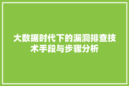 大数据时代下的漏洞排查技术手段与步骤分析