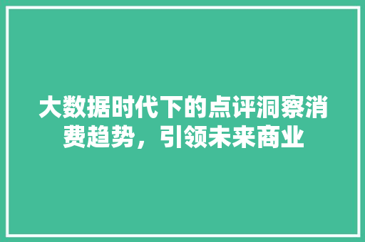 大数据时代下的点评洞察消费趋势，引领未来商业