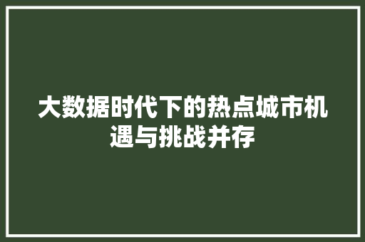 大数据时代下的热点城市机遇与挑战并存  第1张