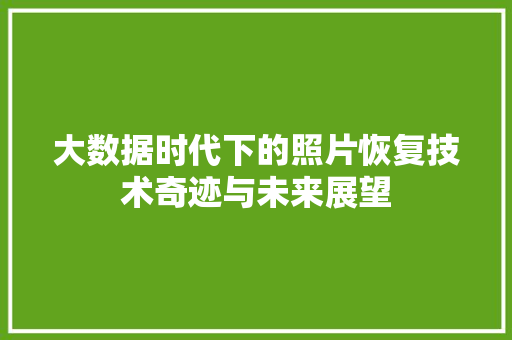 大数据时代下的照片恢复技术奇迹与未来展望  第1张
