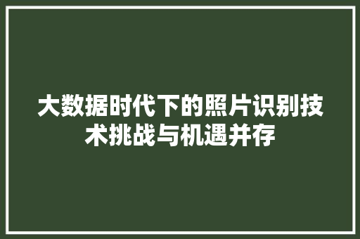 大数据时代下的照片识别技术挑战与机遇并存  第1张