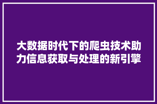大数据时代下的爬虫技术助力信息获取与处理的新引擎