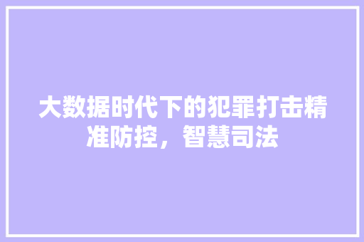 大数据时代下的犯罪打击精准防控，智慧司法  第1张