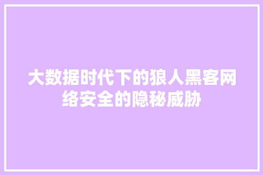 大数据时代下的狼人黑客网络安全的隐秘威胁  第1张
