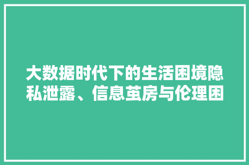 大数据时代下的生活困境隐私泄露、信息茧房与伦理困境  第1张