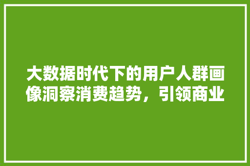 大数据时代下的用户人群画像洞察消费趋势，引领商业变革  第1张