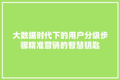 大数据时代下的用户分级步骤精准营销的智慧钥匙