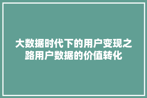 大数据时代下的用户变现之路用户数据的价值转化  第1张