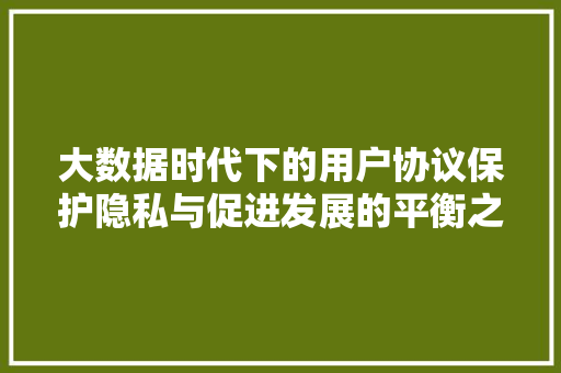 大数据时代下的用户协议保护隐私与促进发展的平衡之路