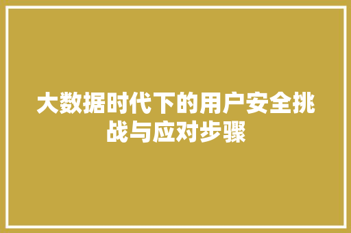 大数据时代下的用户安全挑战与应对步骤  第1张
