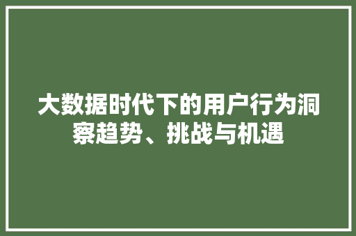 大数据时代下的用户行为洞察趋势、挑战与机遇  第1张