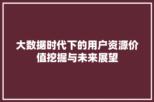 大数据时代下的用户资源价值挖掘与未来展望  第1张