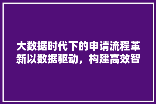大数据时代下的申请流程革新以数据驱动，构建高效智能体系