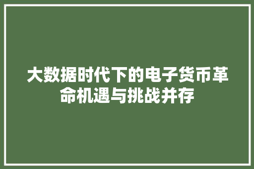 大数据时代下的电子货币革命机遇与挑战并存  第1张