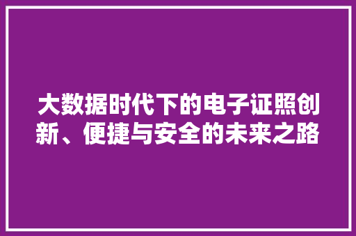 大数据时代下的电子证照创新、便捷与安全的未来之路