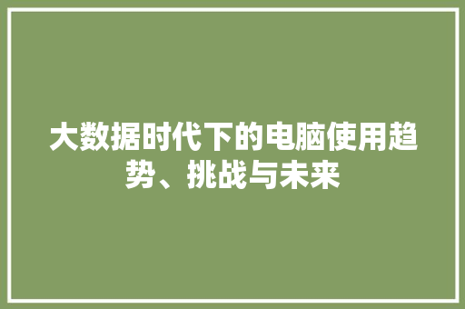 大数据时代下的电脑使用趋势、挑战与未来