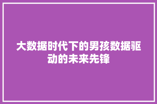 大数据时代下的男孩数据驱动的未来先锋
