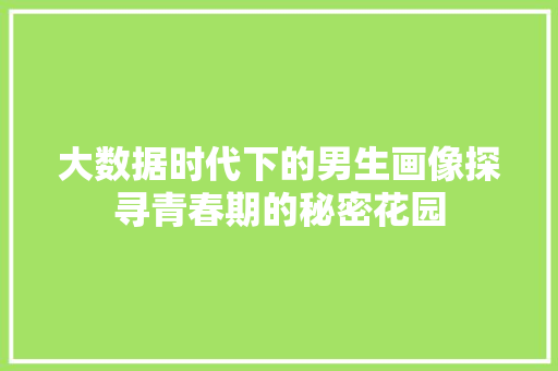 大数据时代下的男生画像探寻青春期的秘密花园